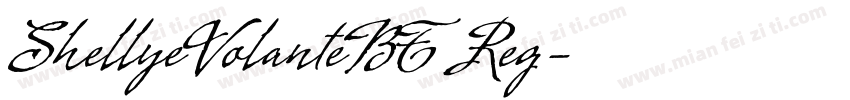 ShellyeVolanteBT Reg字体转换